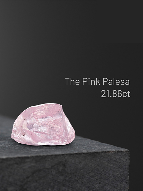 Pink Palesa recovery May 2021